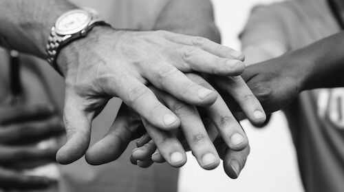 Arden Executive Coaching | Essentials of Team Performance: Trust