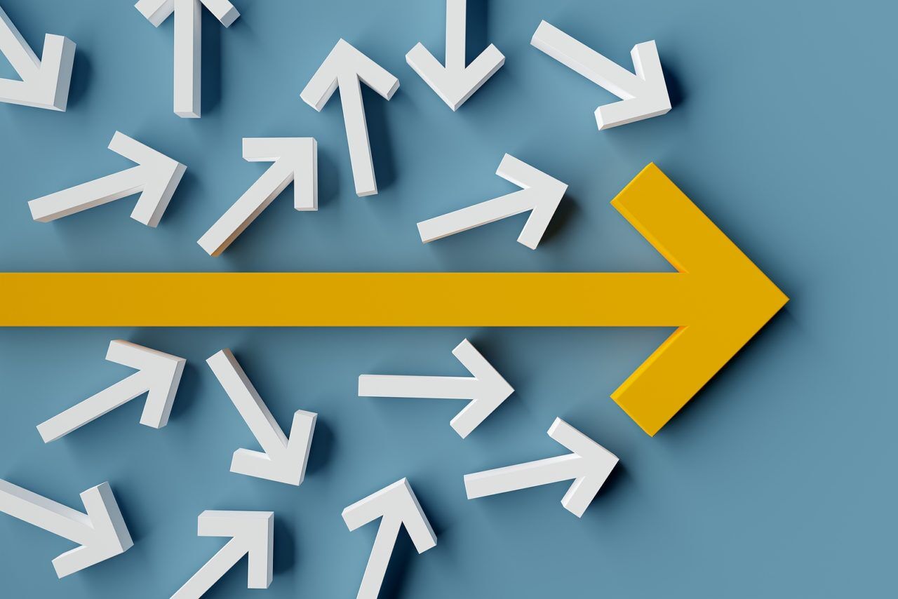 Arden Executive Coaching | Go With Your Gut: Intuition and Managerial Decision Making