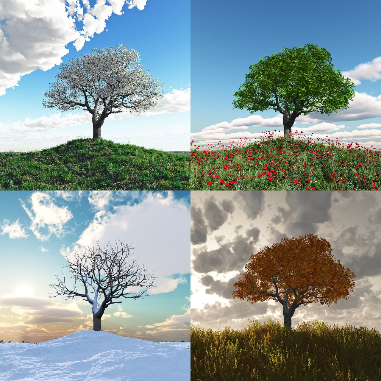 Arden Executive Coaching | Navigating the Seasons of Change: Effective Energy Management