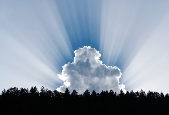 Arden Executive Coaching | Success in an Uncertain World: The Power of Resilience