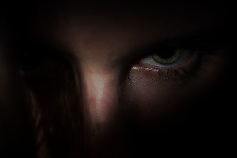 Arden Executive Coaching | Emotions are Non-Partisan: Leadership in Perilous Times