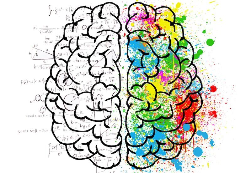 Arden Executive Coaching | Can You Be Too Logical?