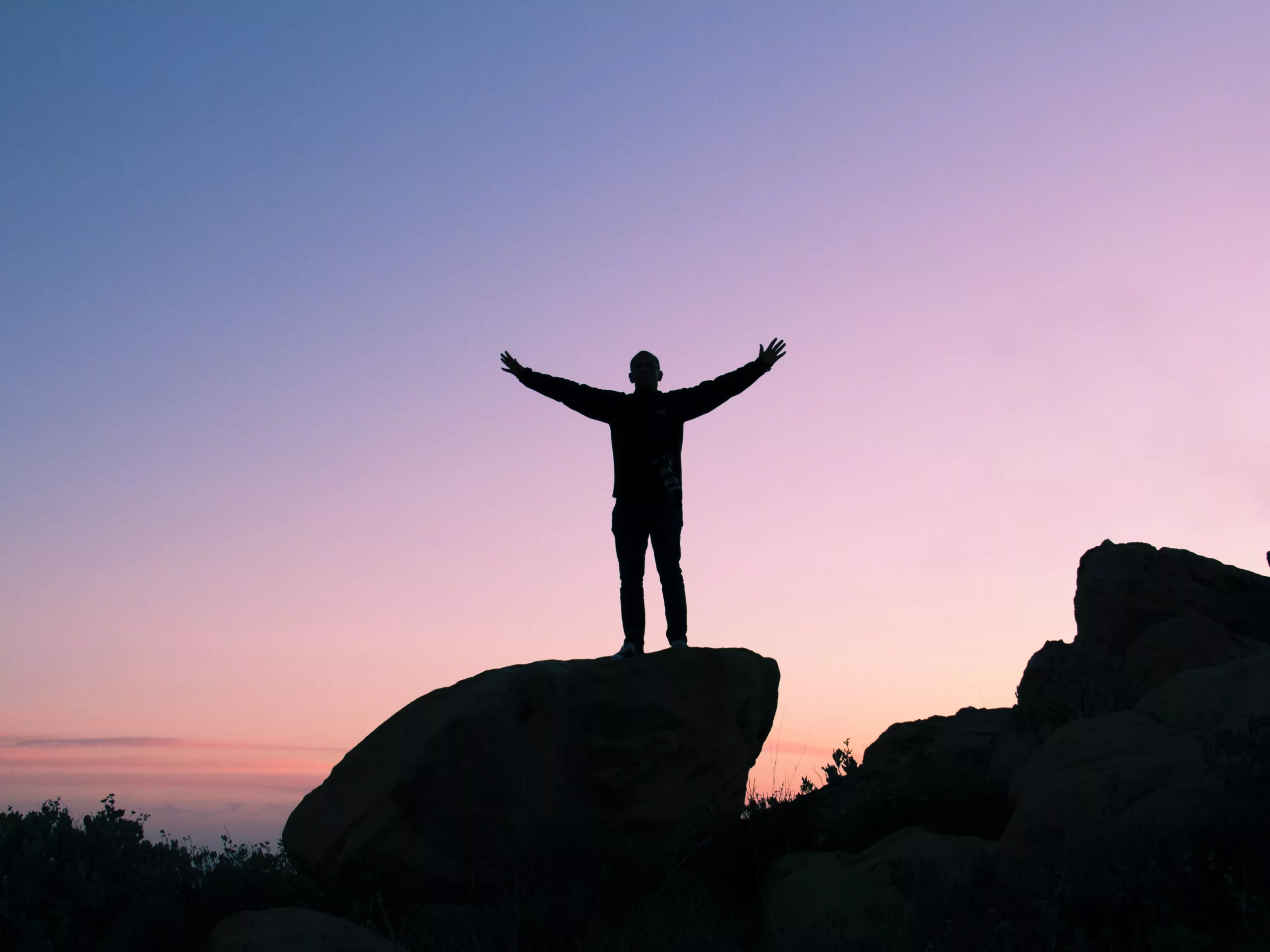 Arden Executive Coaching | Groundedness: The Root of Confidence for Professionals
