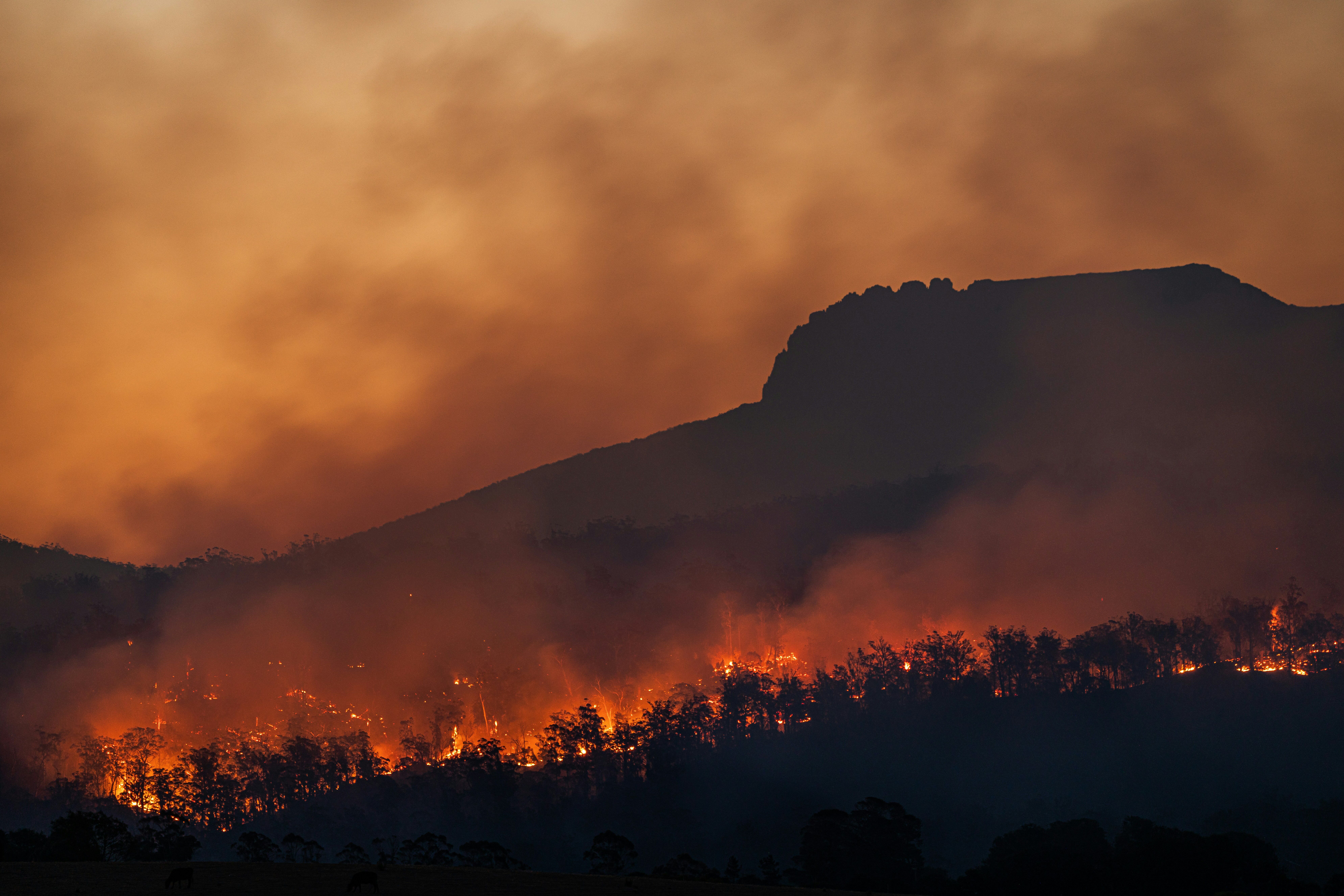 Arden Executive Coaching | LA Fires: When the Sky Turned Black