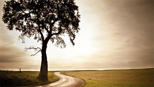 Arden Executive Coaching | Arden Coaching's Reach in 2013