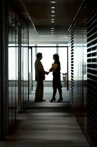 Arden Executive Coaching | Do Executive Coaches need Executive Experience to Successfully Coach Executives?!