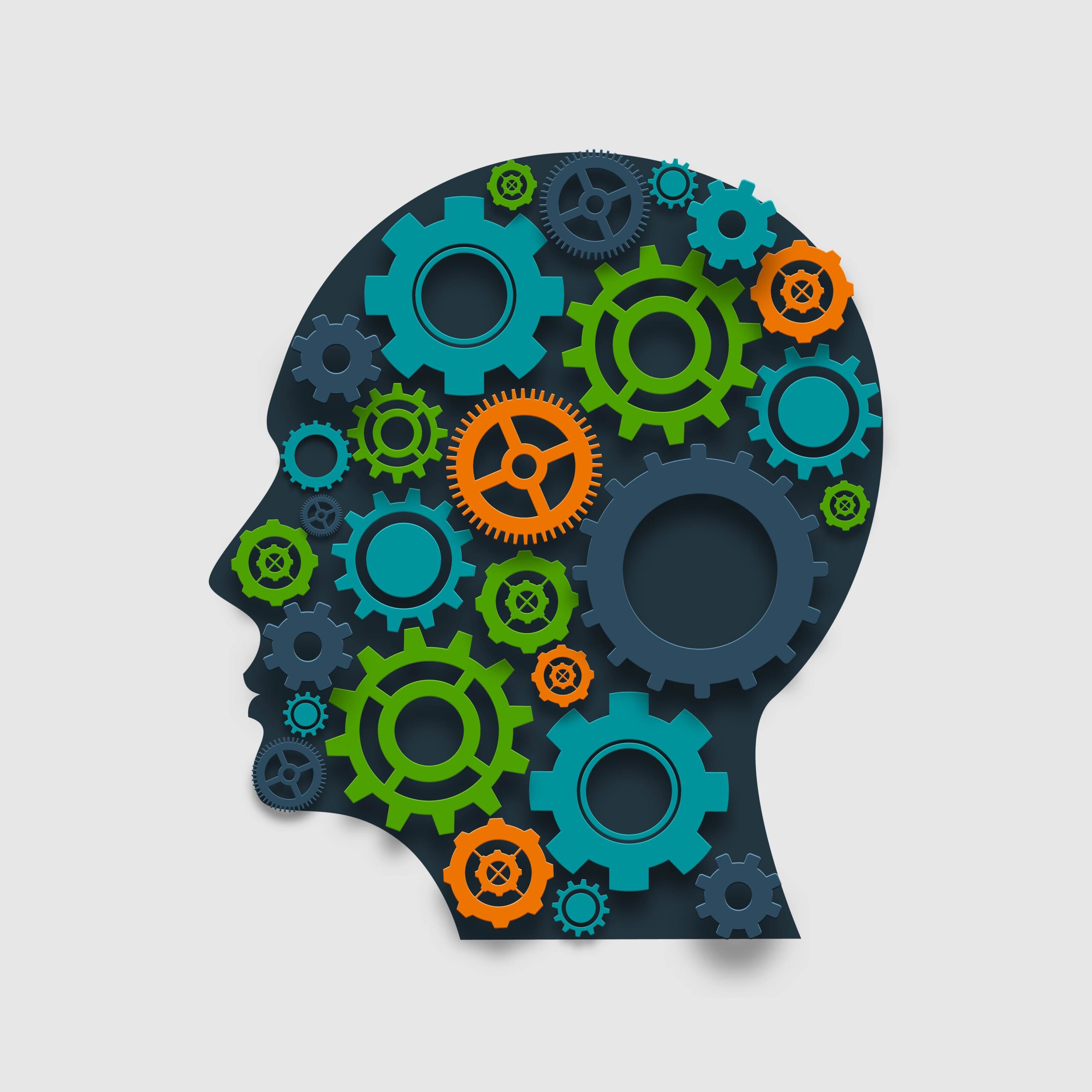 Arden Executive Coaching | The 10 steps for facilitating a mental model change