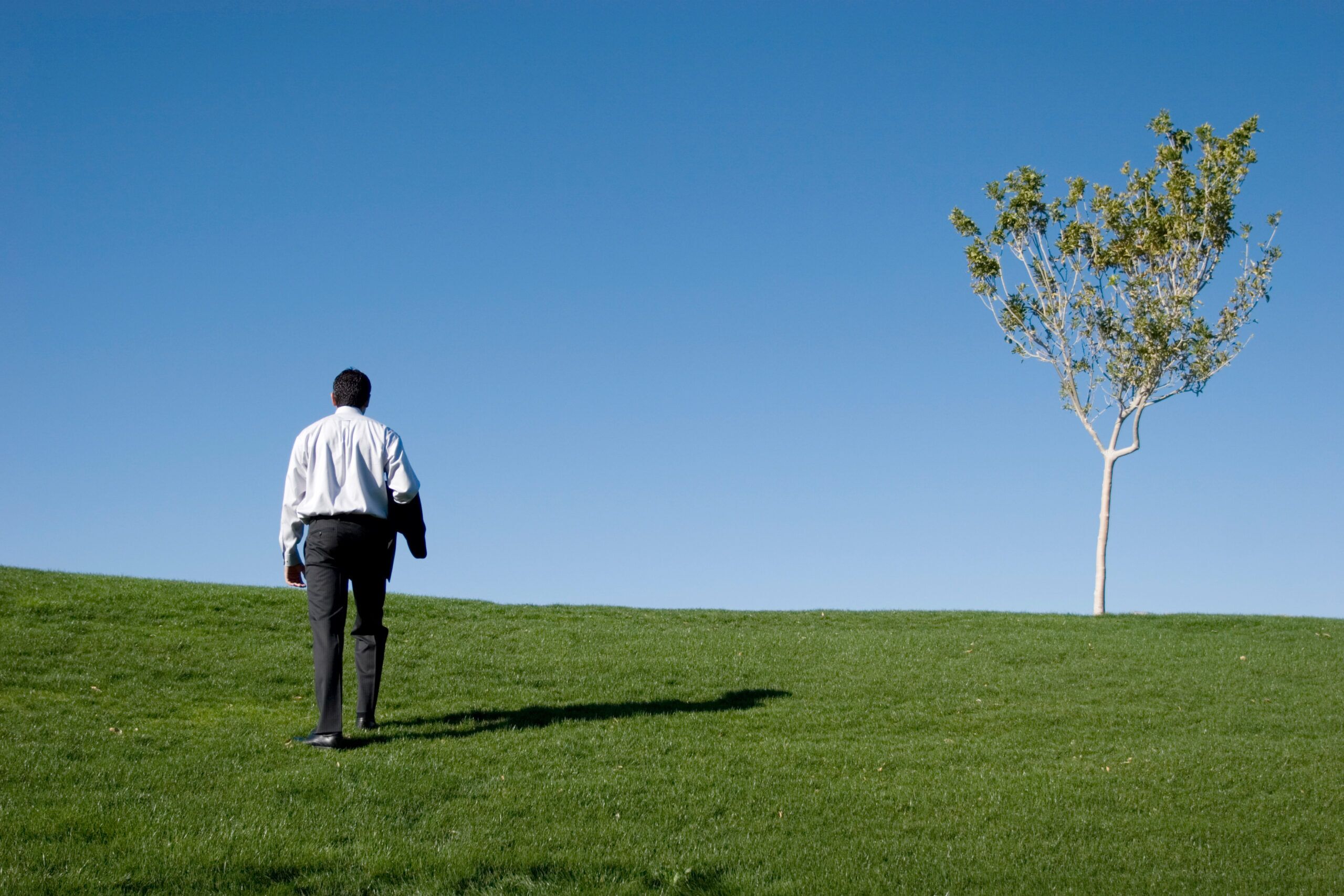 Arden Executive Coaching | NATURE AND EXECUTIVE FUNCTIONING