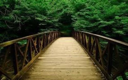 Arden Executive Coaching | How We Recognize the Humanity in Others