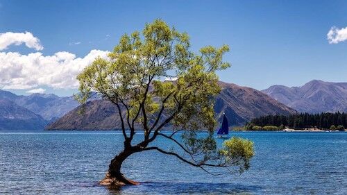 Arden Executive Coaching | How to Become a Compassionate Leader