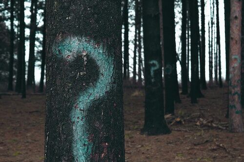 Arden Executive Coaching | How to know if the biggest obstacle to your success is YOU… 