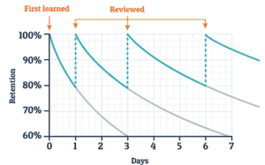 Arden Executive Coaching | Leadership Skills and the Forgetting Curve