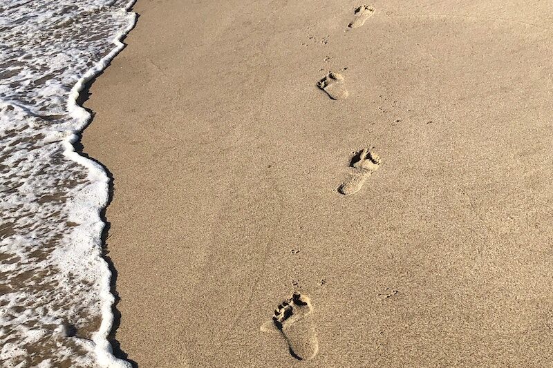 Arden Executive Coaching | Making Decisions with Your Toes: How Your “Brain-Body” Helps You Lead
