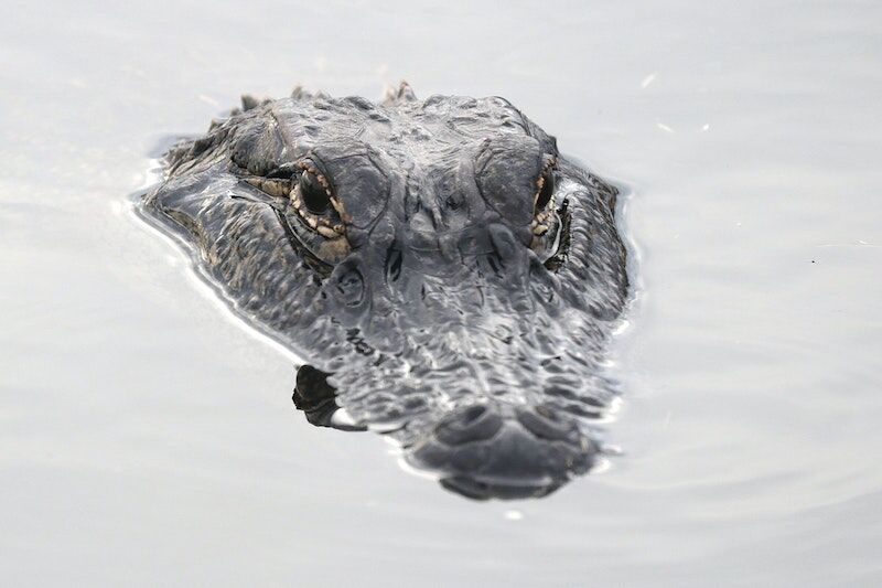 Arden Executive Coaching | Are You Harboring Stealth Expectations?