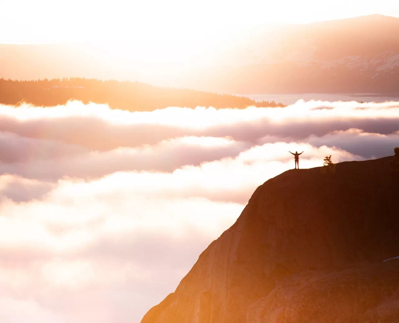 Arden Executive Coaching | Coaching Can Change the Game