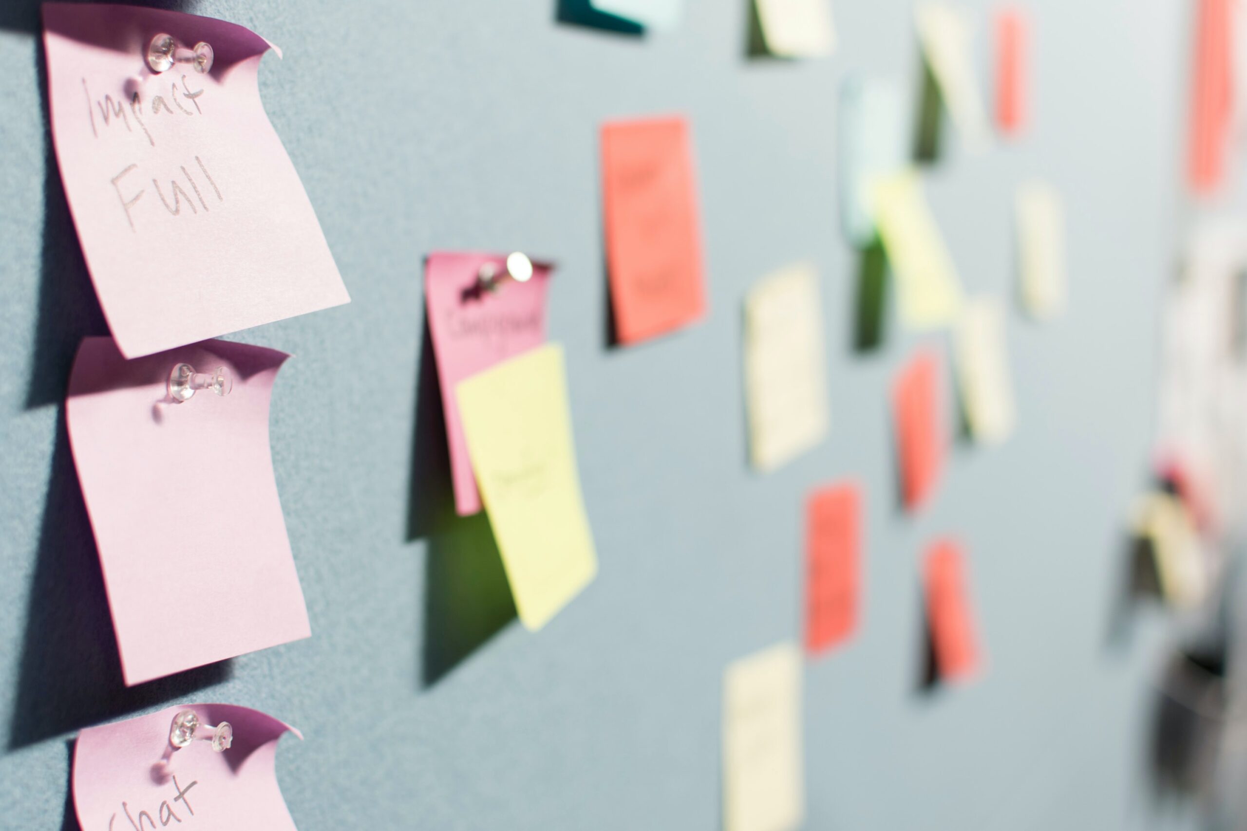 Arden Executive Coaching | Discovery Session