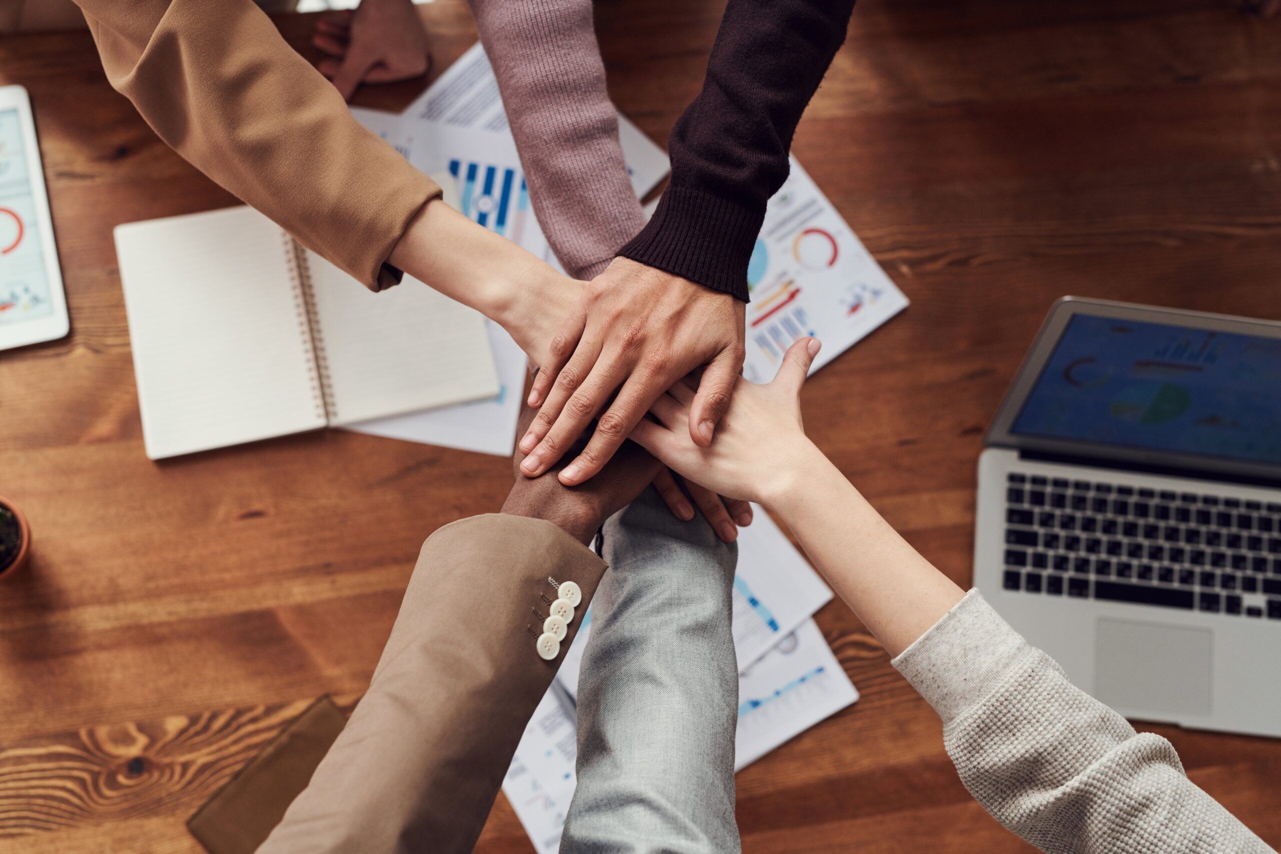 Arden Executive Coaching | The Anatomy of an Effective Team