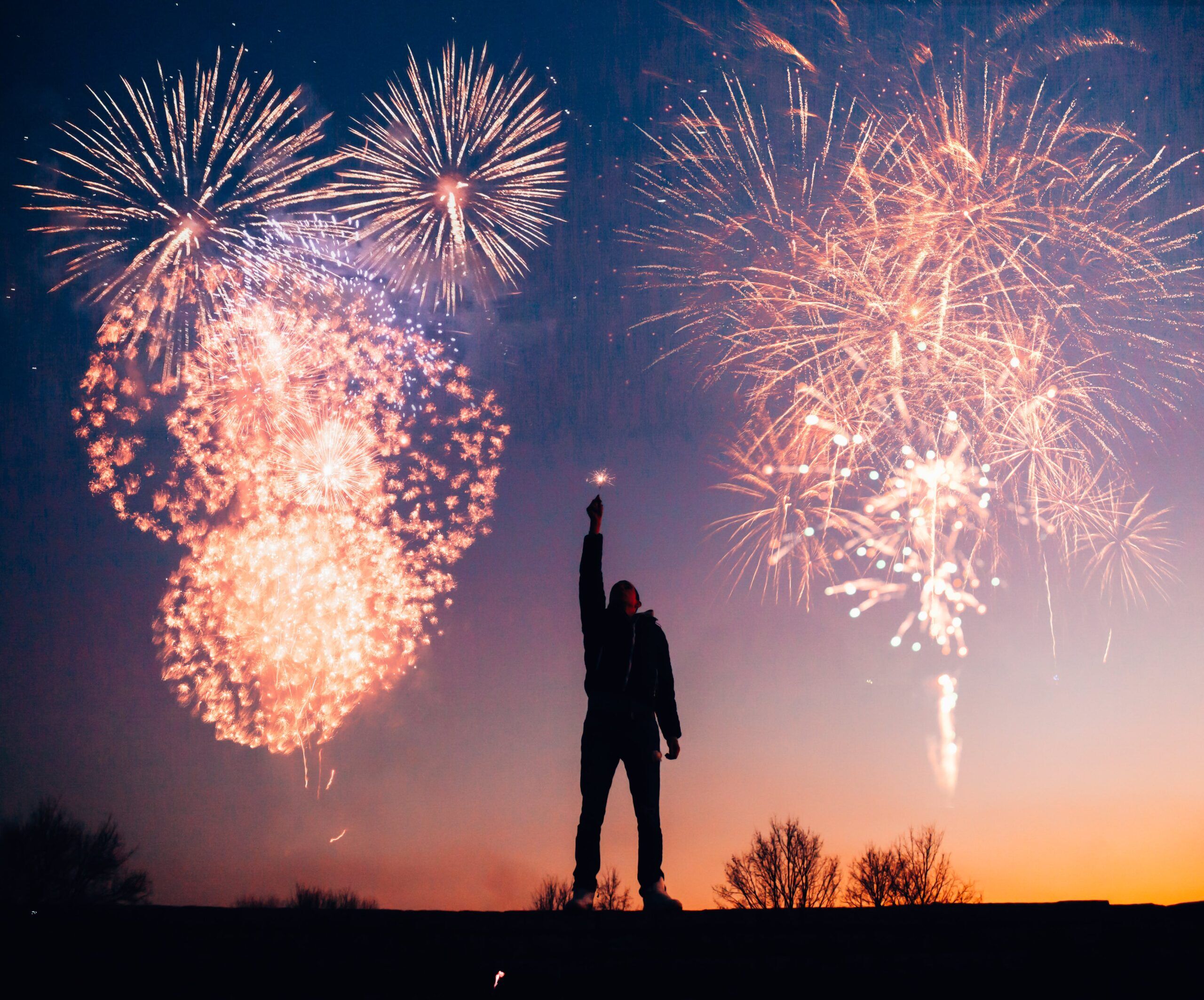 Arden Executive Coaching | Effective New Year's Resolutions for Executives