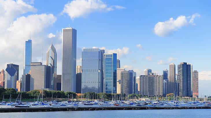 Arden Executive Coaching | Chicago Arden Executive Coaching | Chicago