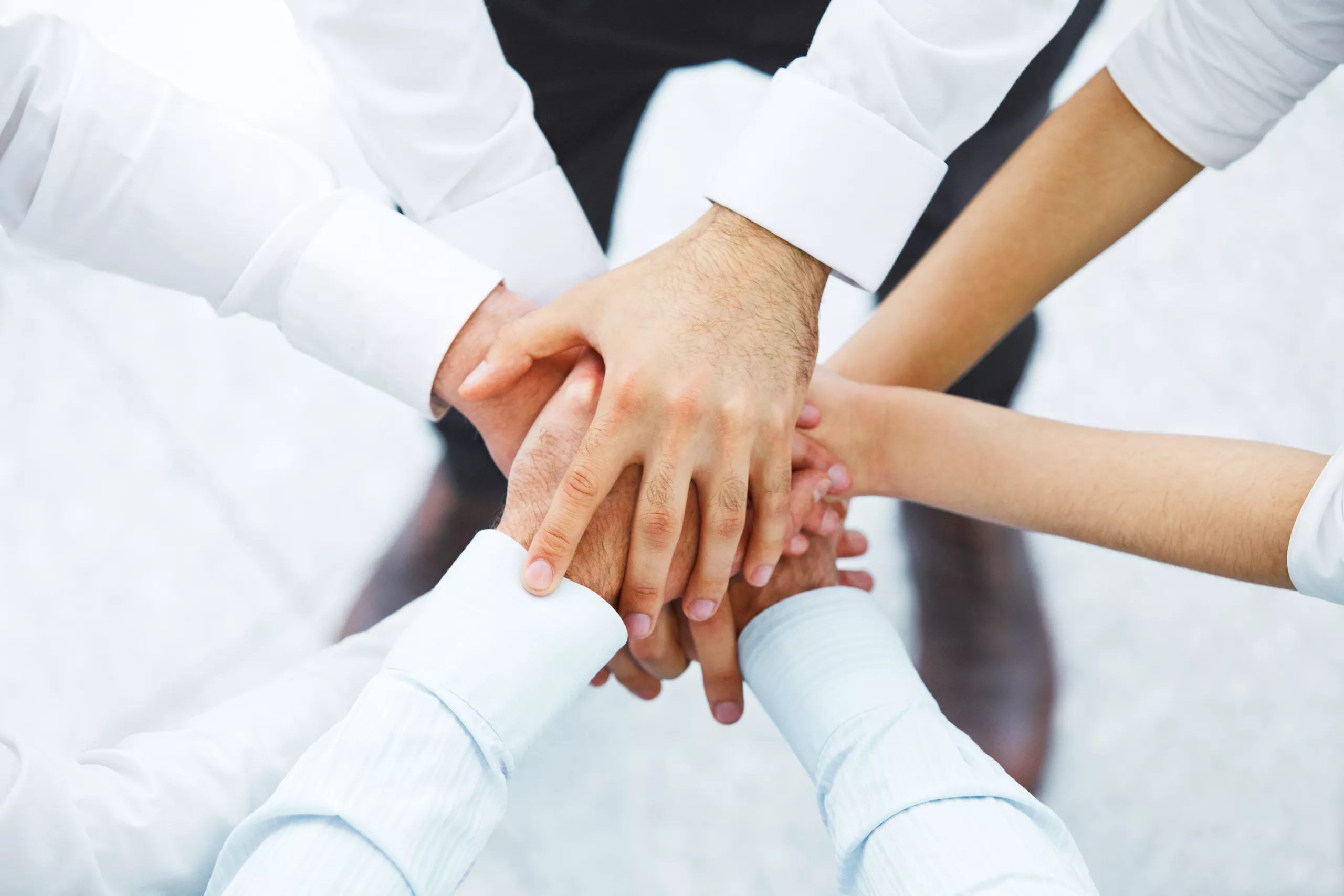 Arden Executive Coaching | Ten Behaviors of Great Teams