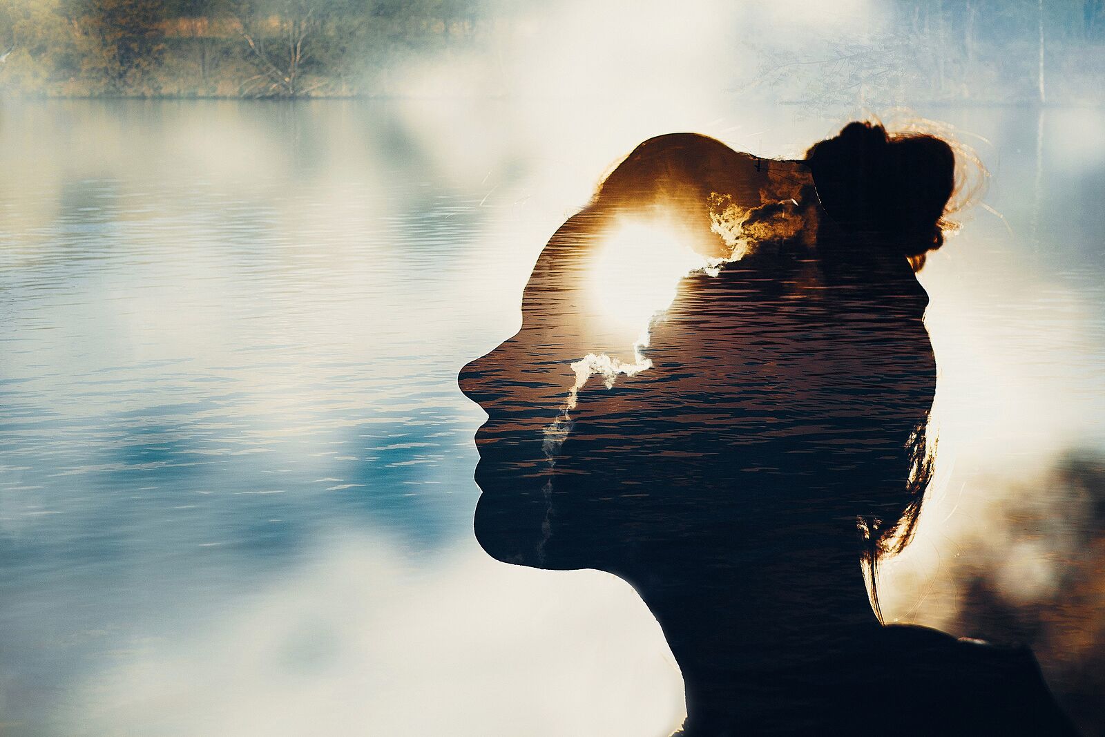 Arden Executive Coaching | The Power of Mindset in Leadership