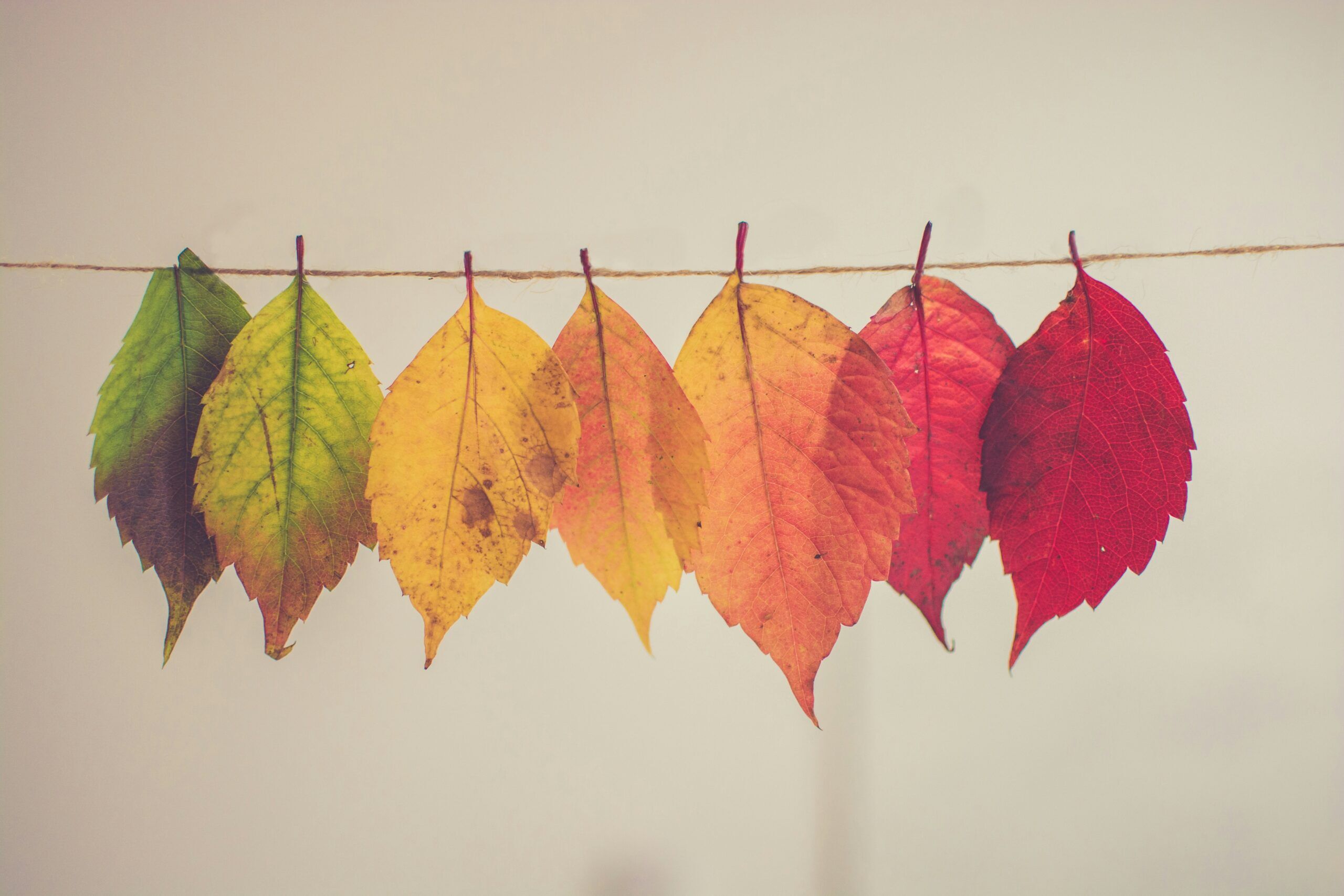 Arden Executive Coaching | Leading Your Team (and Self!) Through Uncertain Times