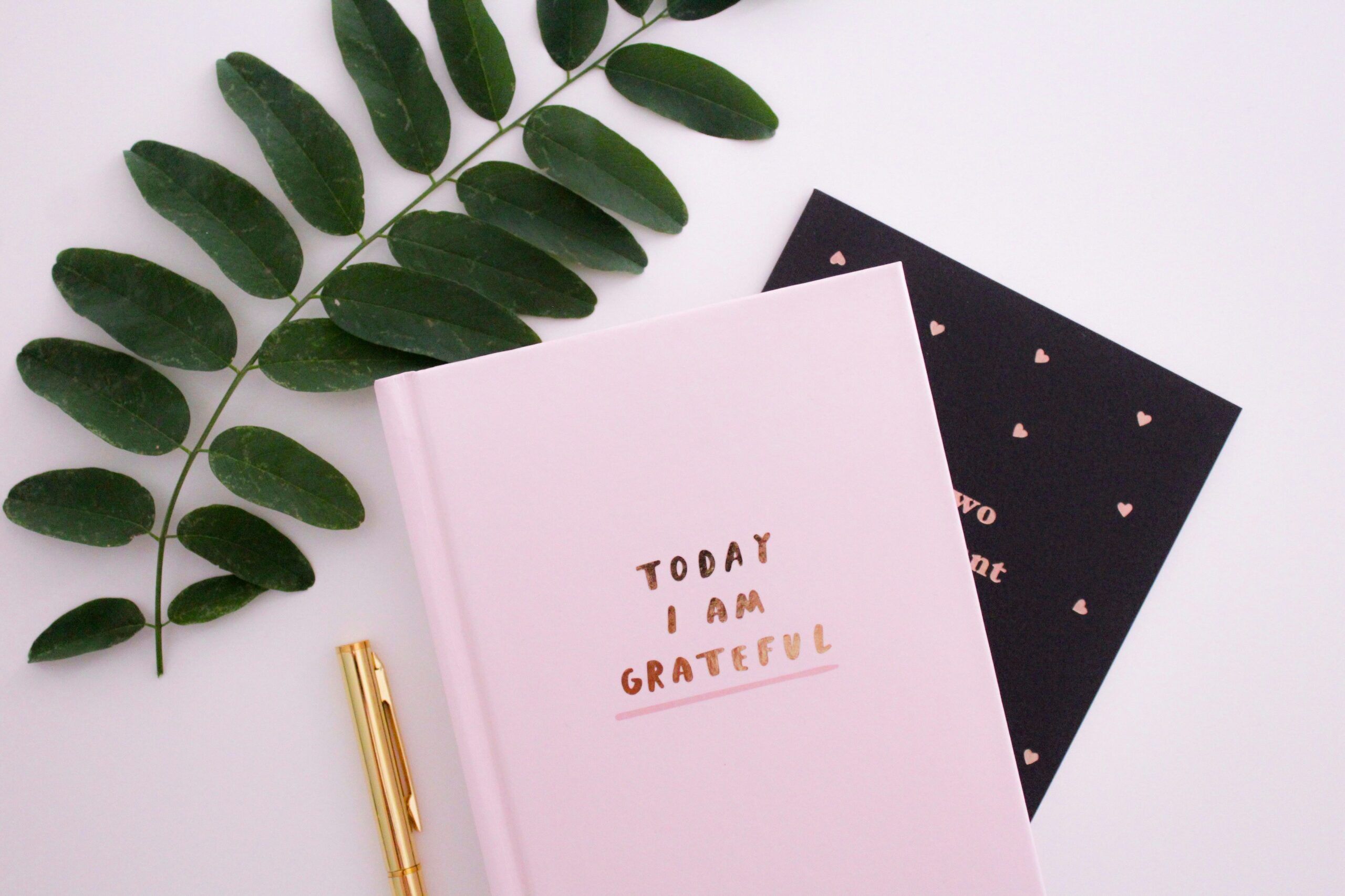 Arden Executive Coaching | Gratitude: A Possible Add As You Start Off 2025 Strong