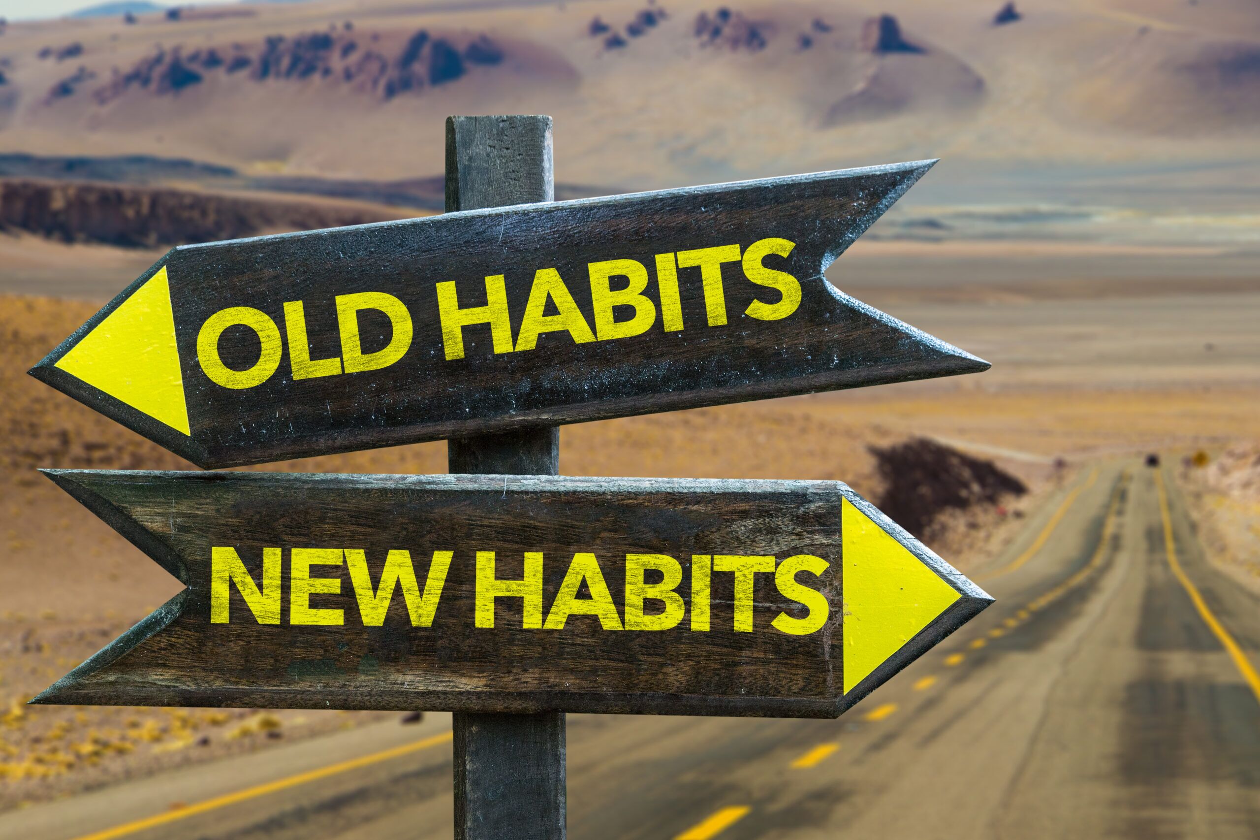 Arden Executive Coaching | The Calm Before the Brainstorm: How to Access New Perspectives to Generate More Ideas