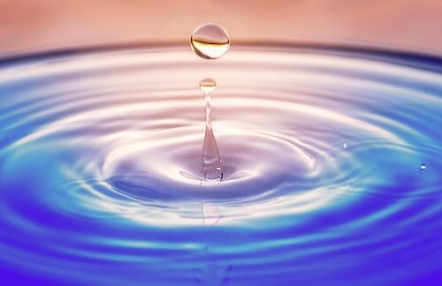 Arden Executive Coaching | Mindfulness: the Power of Being in the Moment