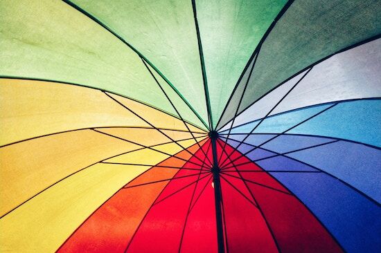 Arden Executive Coaching | DiSC Assessments: Understanding Your Team — and Yourself