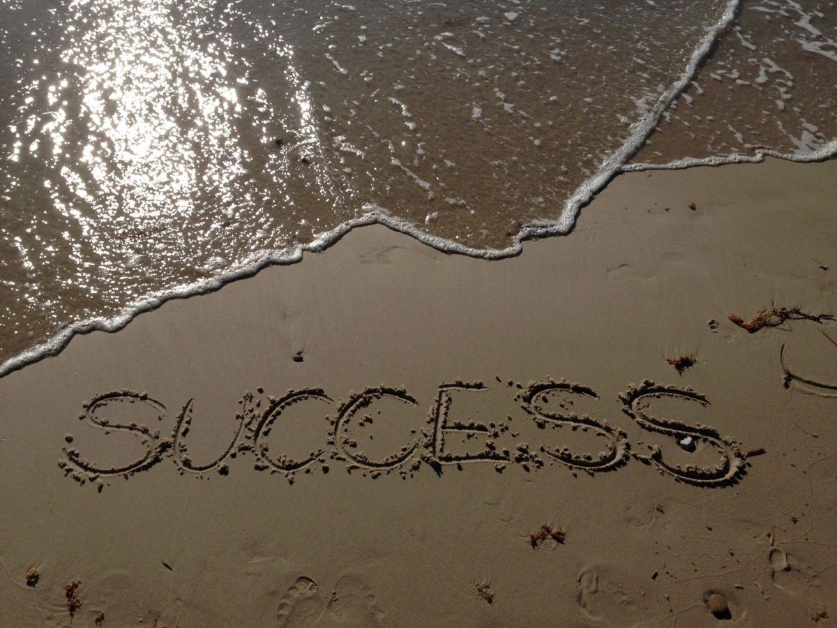 Arden Executive Coaching | Organizational Change Leaders – Want to Increase Your Odds of Success? Get a Coach!