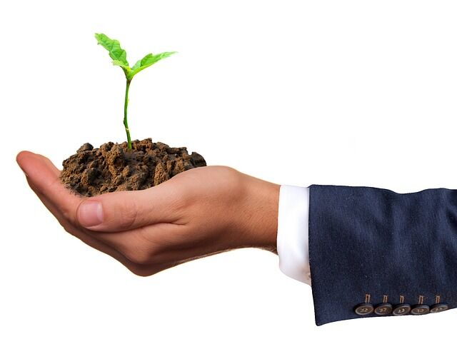 Arden Executive Coaching | I Know You, I Like You…Can I Trust You?