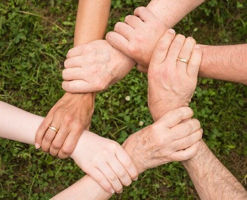 Arden Executive Coaching | I’d Rather Work with Someone I Trust: Teams, Performance, and Trust