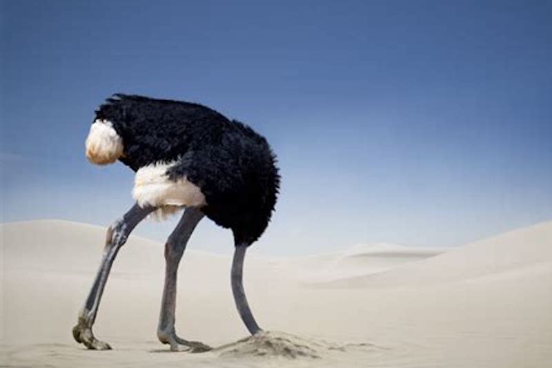 Arden Executive Coaching | Beware! The 4 signs of “Under-Management”