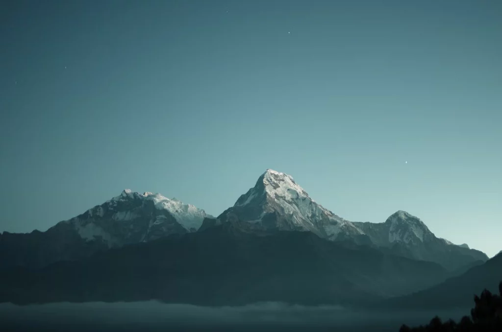 Arden Executive Coaching | Elderhood: The Second Mountain