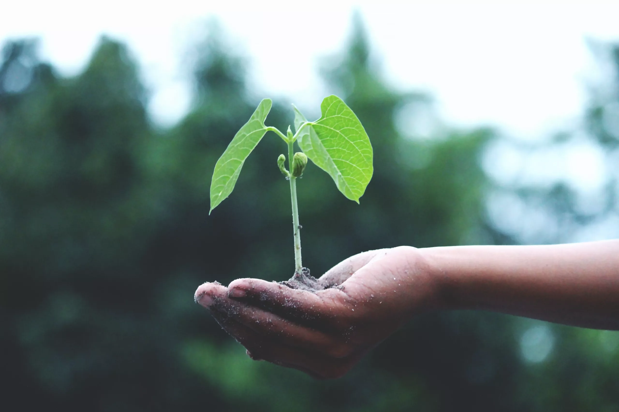 Arden Executive Coaching | The Power of YET